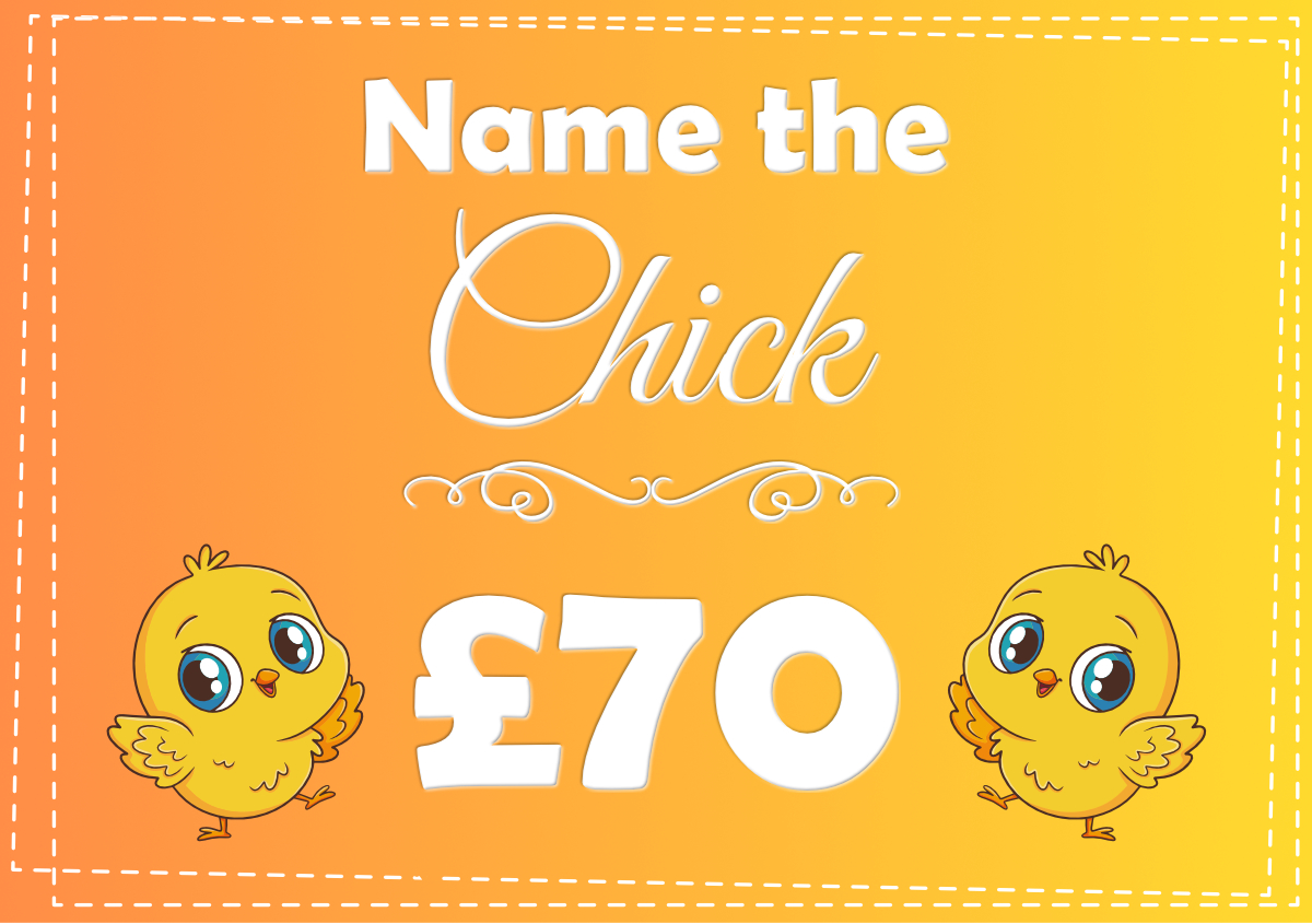 Name the Chick Competition - £70